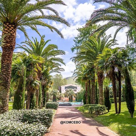Appartement T2 A Cambo-Les-Bains Avec Piscine, Terrasse Et Parking Prive, Proche Des Thermes - Fr-1-495-82 מראה חיצוני תמונה